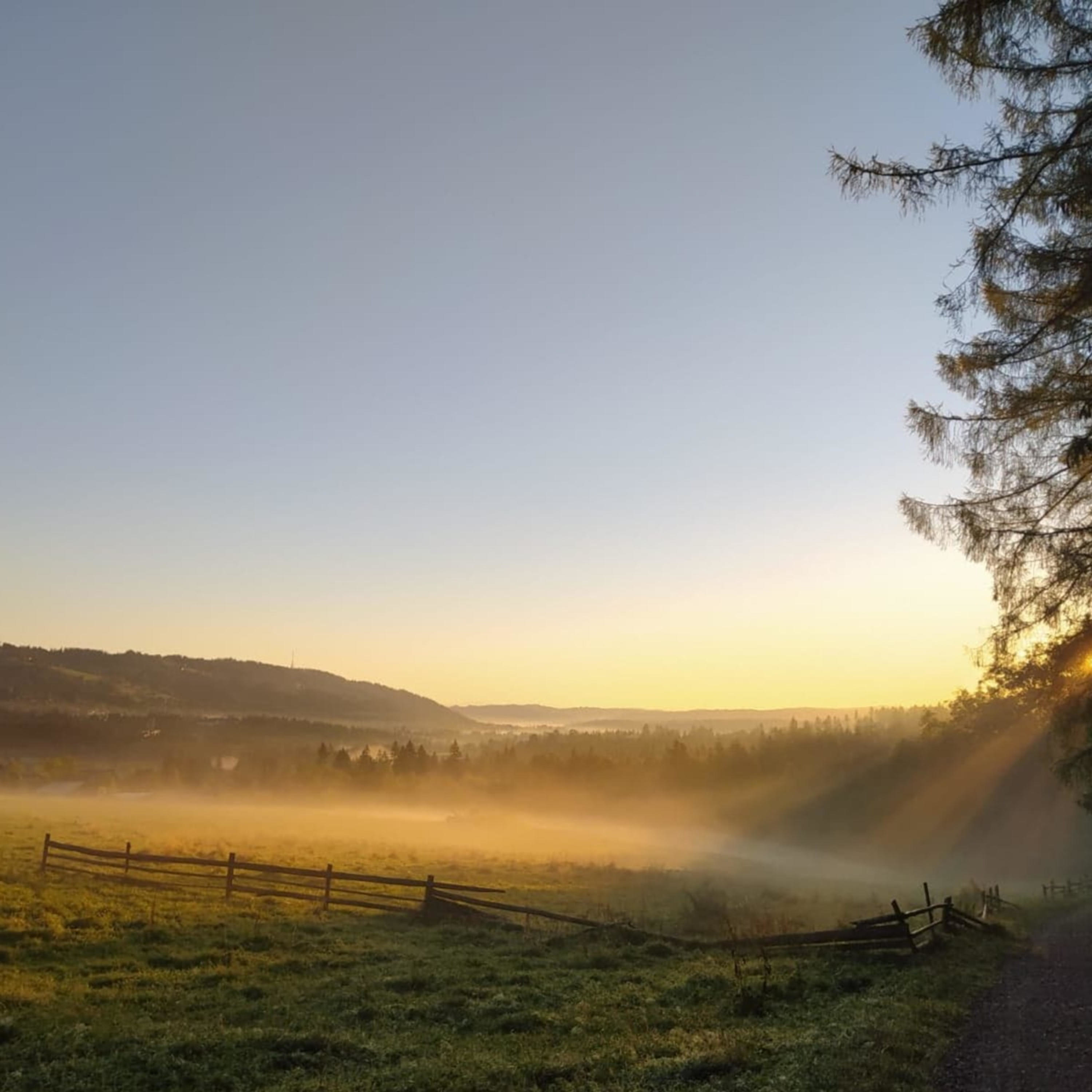 Alkoholizm- pijane myślenie