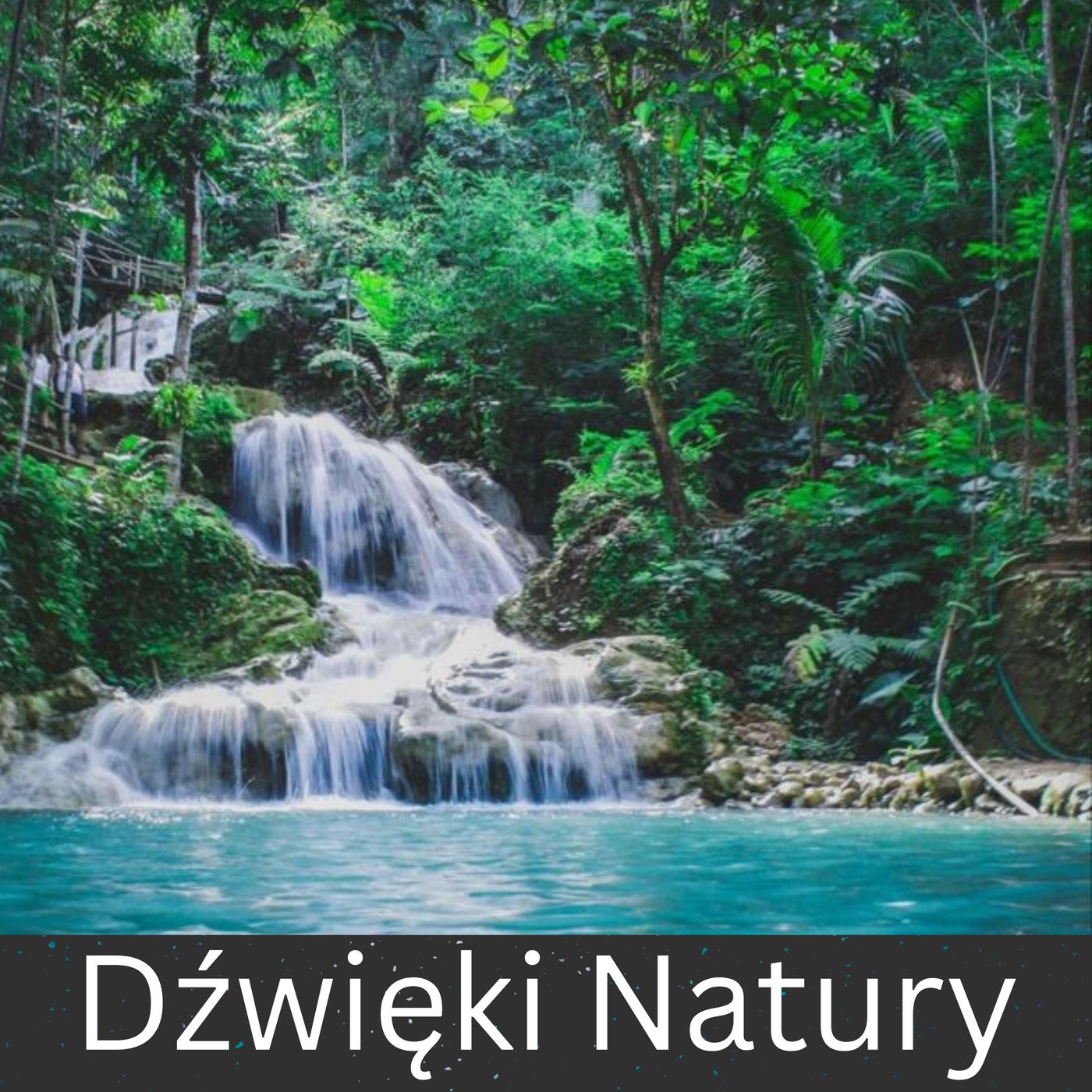 Dźwięki Natury