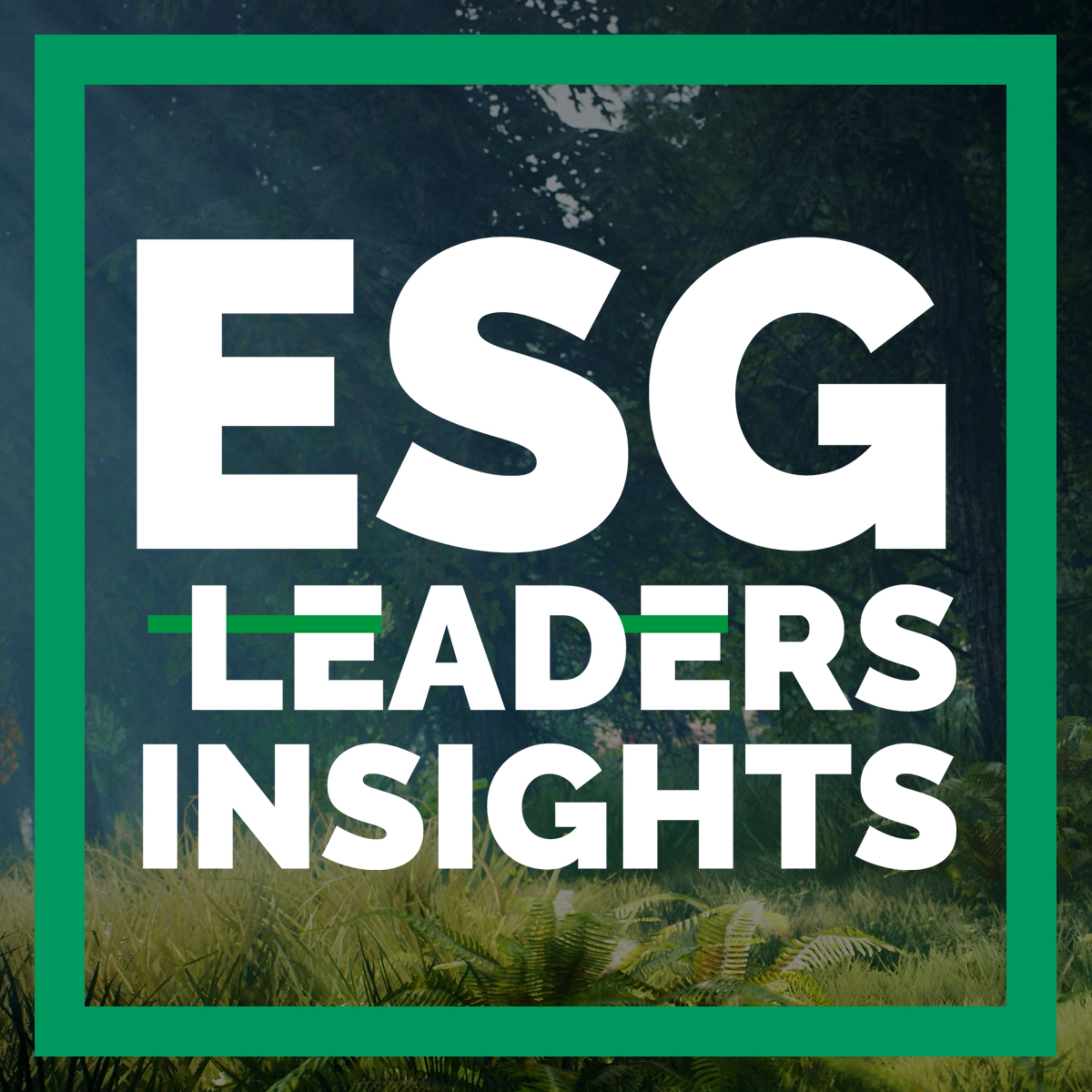 ESG Leaders Insights