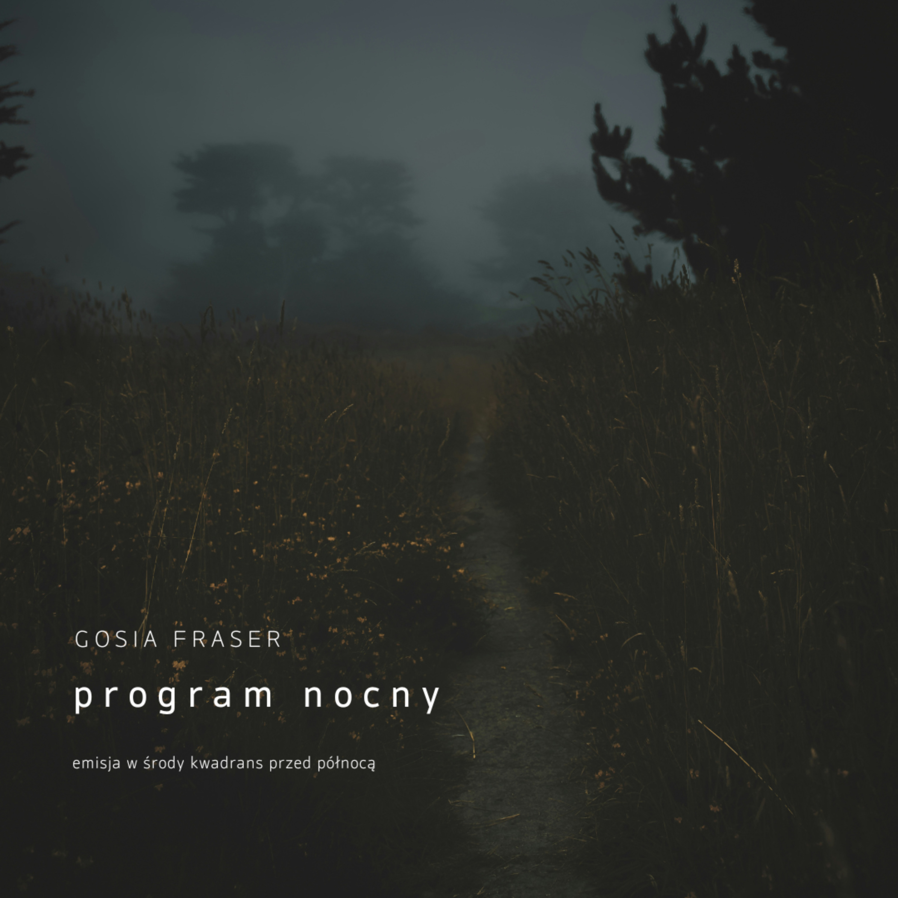 Program Nocny