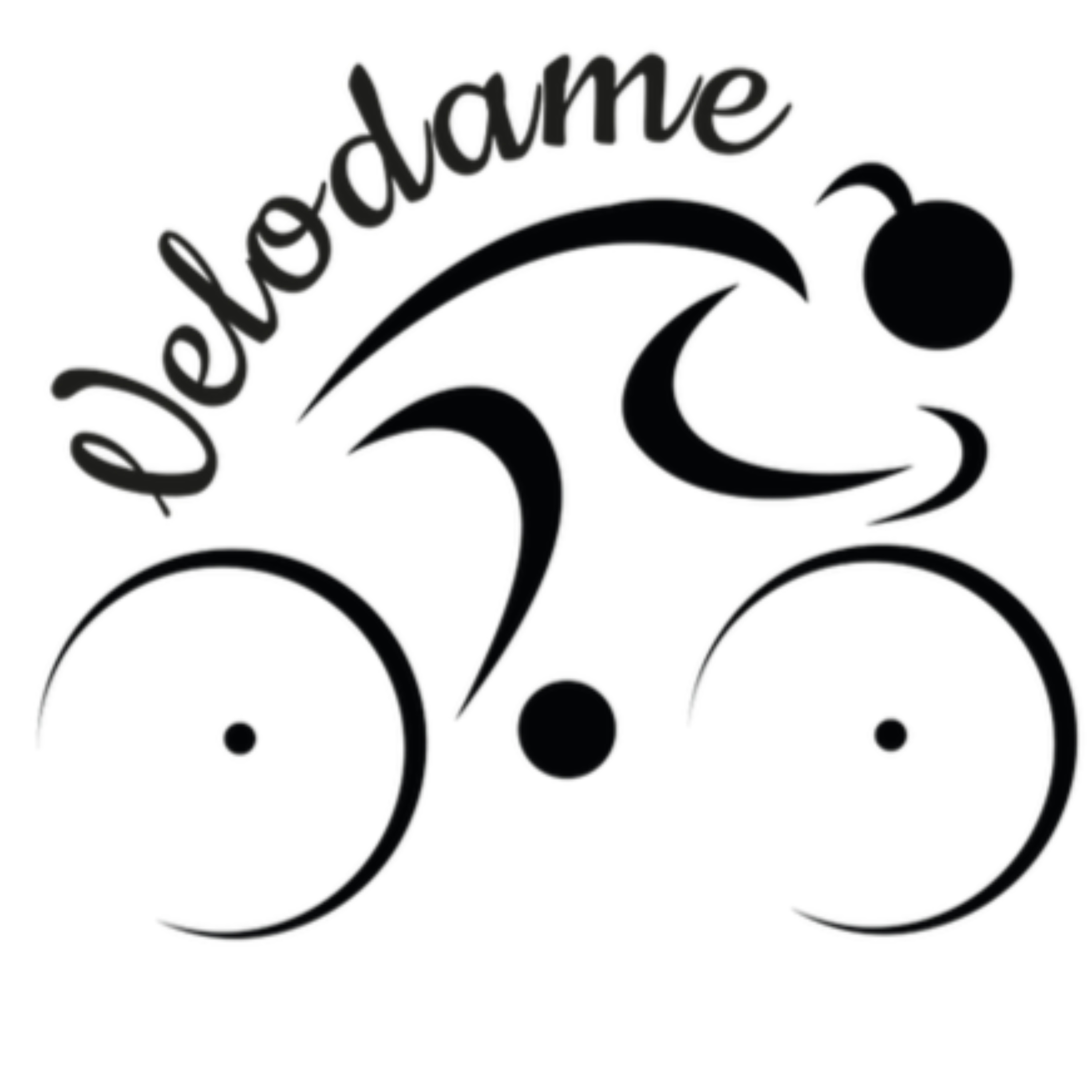 Rozkminy Fundacji Velodame