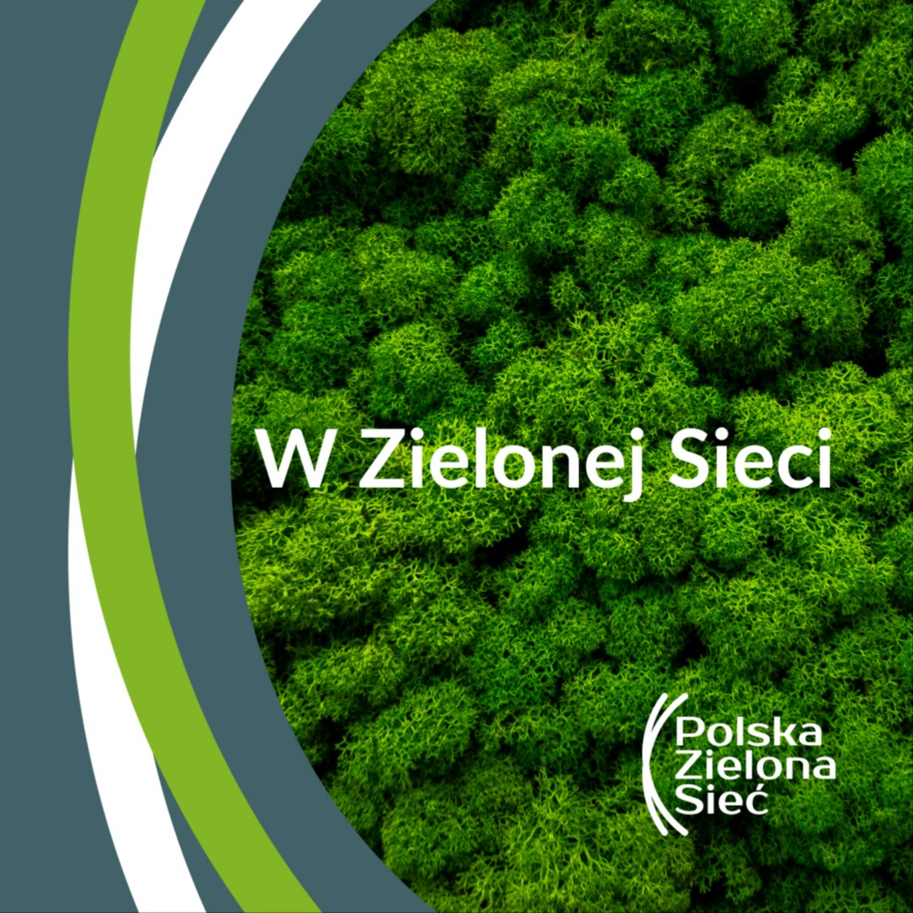 W Zielonej Sieci