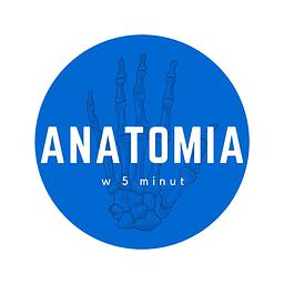 Anatomia w 5 minut