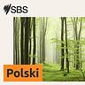 SBS Polish - SBS po polsku